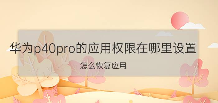 华为p40pro的应用权限在哪里设置 怎么恢复应用？